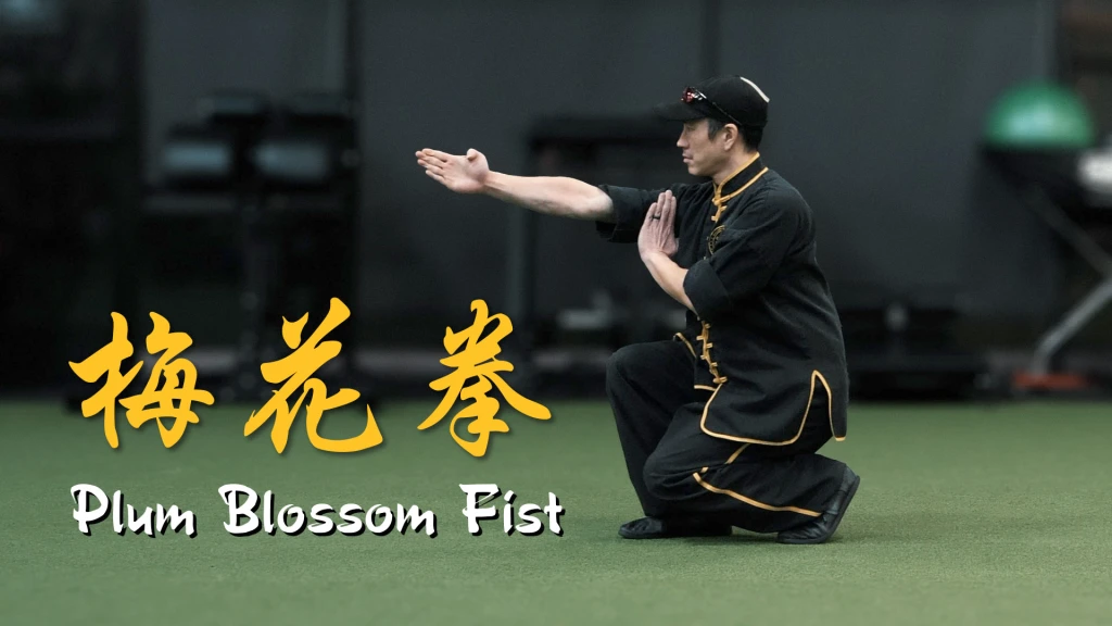 Plum Blossom Fist [梅花拳]