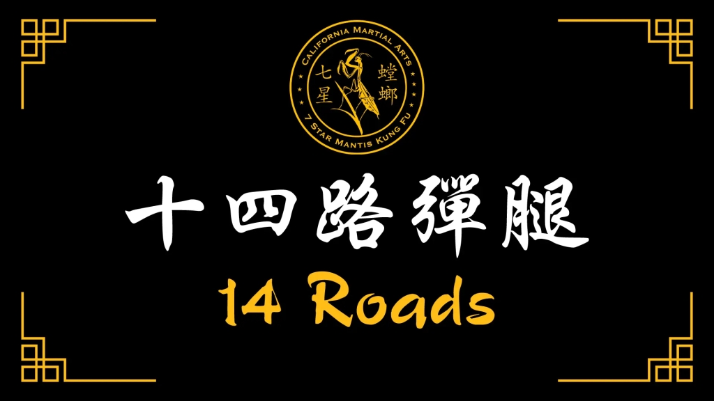 14 Roads Video Series [十四路彈腿] (2013)