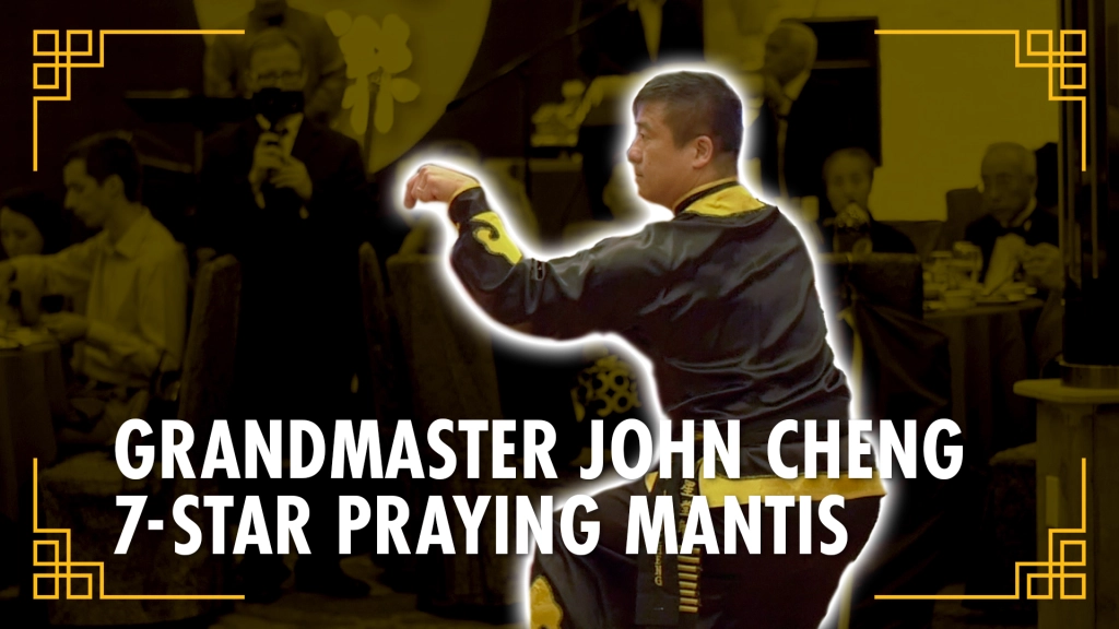 Grandmaster John Cheng // 7 Star Praying Mantis Style [七星螳螂拳]