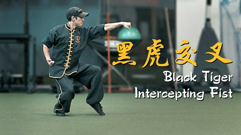 Black Tiger Intercepting Fist [黑虎交叉]